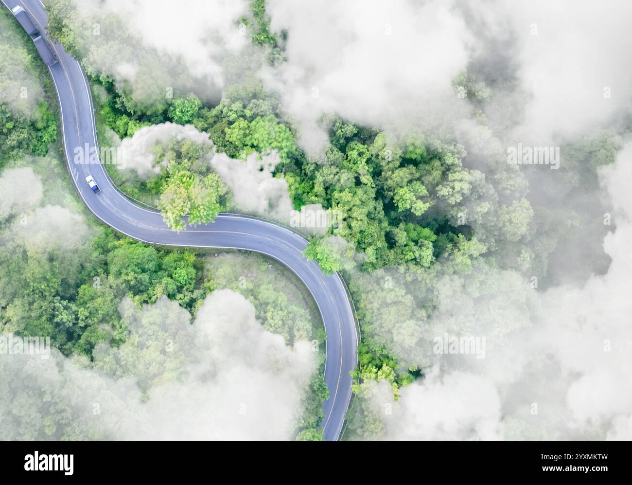 Vue aérienne de dessus d'un véhicule électrique conduisant sur une route autoroutière sinueuse dans une forêt verte avec du brouillard. Transport durable, zéro émission et éco Banque D'Images