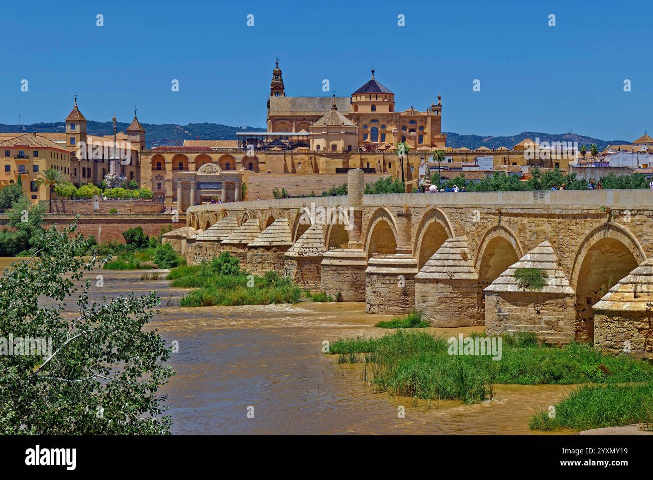 Le pont romain et l'ancienne mosquée, maintenant une cathédrale, à Cordoue, Espagne. Banque D'Images