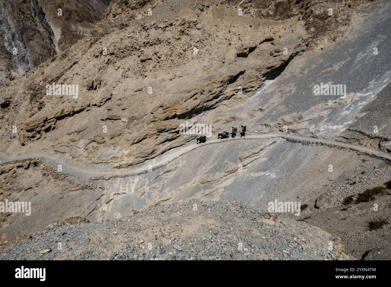 Trekking le trek perfide Shimshal Pass, Shimshal, Gojal, Pakistan Banque D'Images