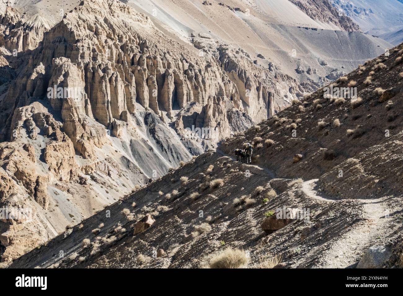Trekking le trek perfide Shimshal Pass, Shimshal, Gojal, Pakistan Banque D'Images