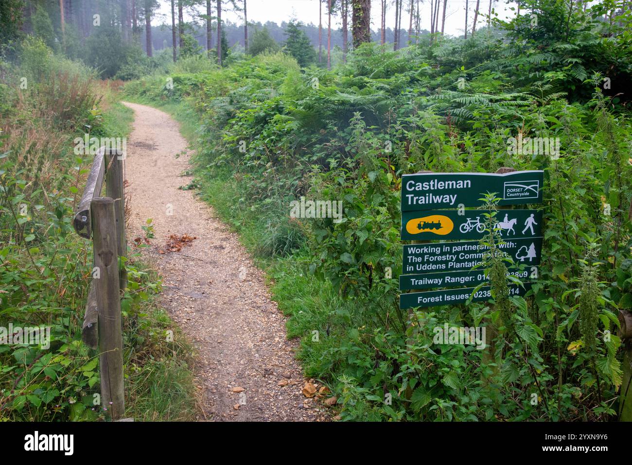 Piste cyclable Castleman Railway dans le parc national de New Forest, Angleterre Banque D'Images