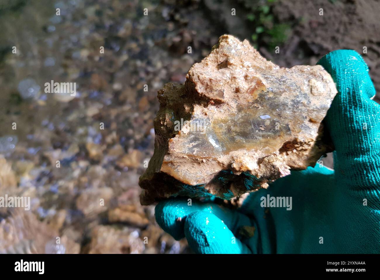 Fragments de calcédoine colorés avec des impuretés extraites de l'argile près de la rivière, chasse aux roches. Russie Banque D'Images