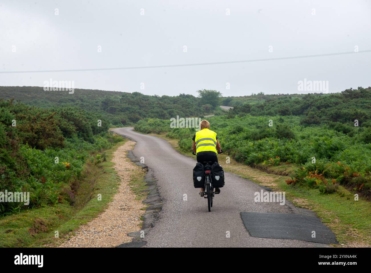 Cycliste dans le parc national de New Forest, Angleterre Banque D'Images