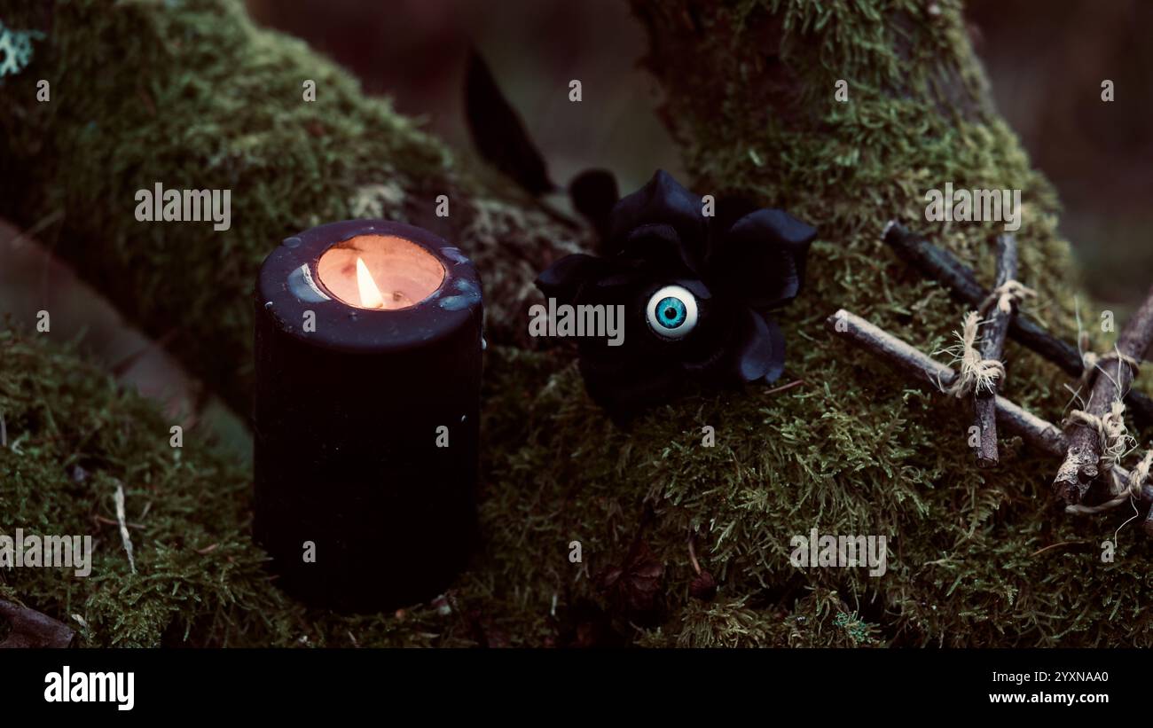 Une rose noire, une bougie noire, une petite échelle sur un arbre couvert de mousse. Banque D'Images