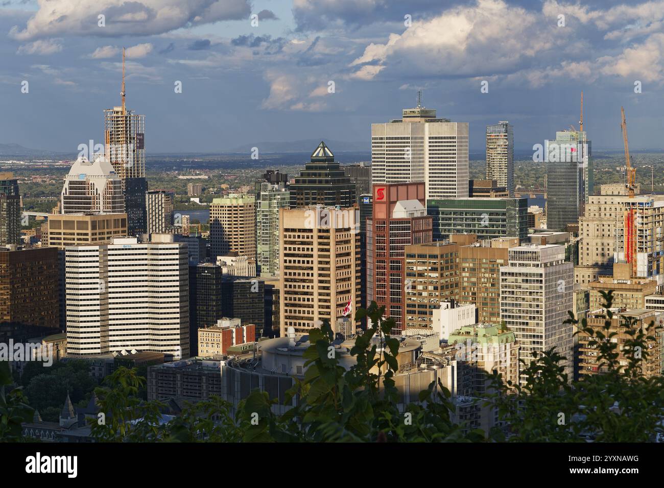 Vue sur la ville, Montréal, Province de Québec, Canada, Amérique du Nord Banque D'Images