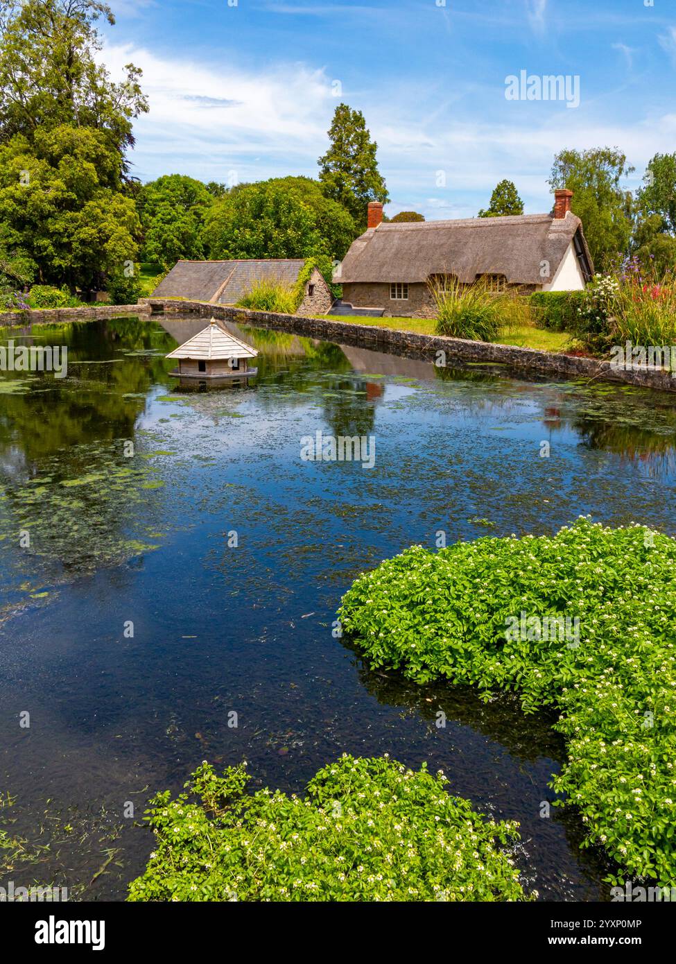 Étang de canards et chalet au toit de chaume à East Quantoxhead un village dans la région de Quantock Hills d'une beauté naturelle exceptionnelle dans le nord du Somerset Angleterre Royaume-Uni Banque D'Images