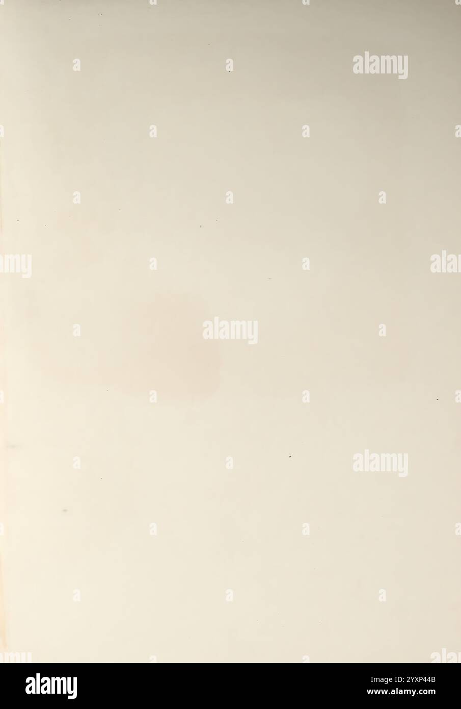 Sveriges, ätliga, OCH, giftiga, svampar, tecknade, efter, naturen, under, ledning, Stockholm, P.A. Norstedt, &, söner, kongl, boktryckare, 1861-[69], champignons, pathogène, champignons, Suède, champignons., la surface apparaît vierge et non marquée, affichant une texture lisse avec des variations subtiles de ton. Il y a de faibles indications d'impressions ou de taches antérieures, suggérant un historique d'utilisation. L’esthétique globale évoque un sentiment de minimalisme et de simplicité, invitant à la contemplation ou à l’expression créative sur une toile vide. Banque D'Images