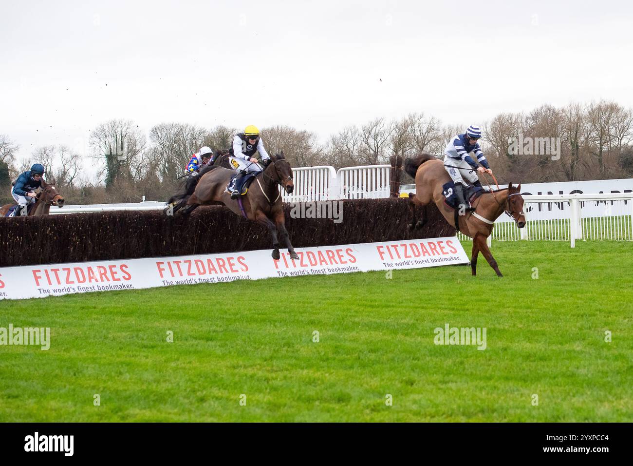 Windsor, Berkshire, Royaume-Uni. 15 décembre 2024. TEDLEY (no 2) monté par Jamie Brace (casquette jaune) chasse VINCENZO (no 3) dans la Fitzdares Royal Windsor novices Limited handicap Steeple Chase Class 3 GBB Race au Jumps Racing Returns Meeting au Royal Windsor Racecourse à Windsor, Berkshire. Crédit : Maureen McLean/Alamy Banque D'Images