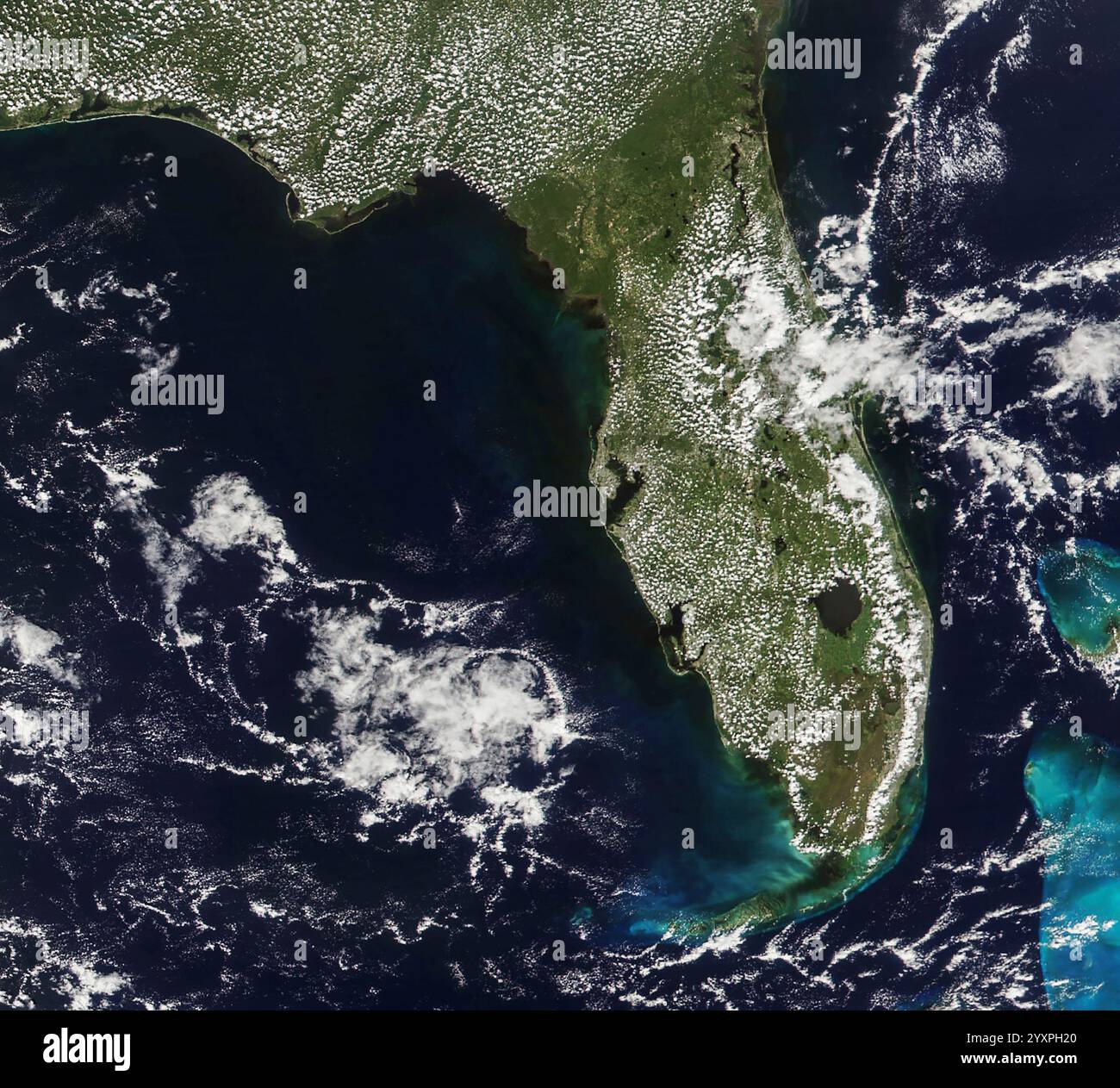 Vue satellite de la région de Big Bend en Floride. Banque D'Images