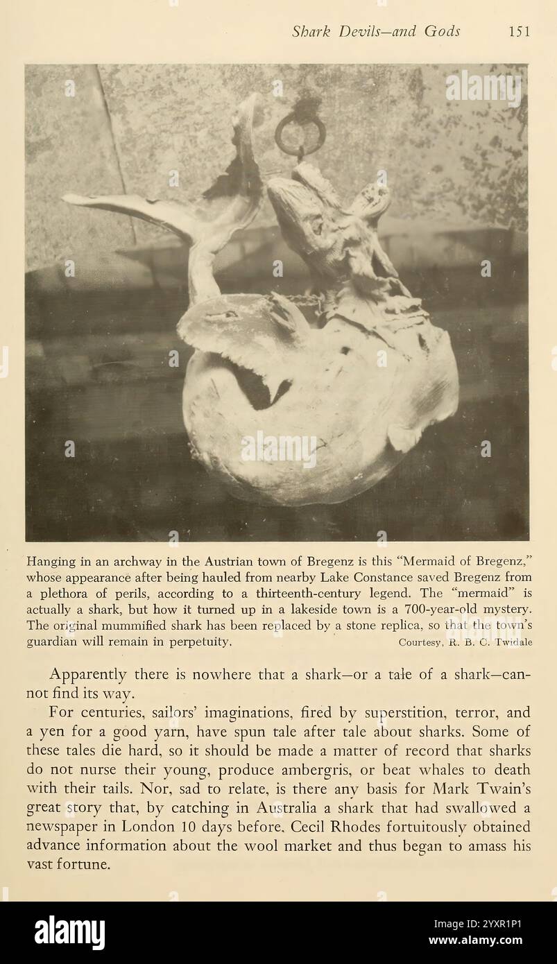 Shadows in the Sea, Philadelphie, Chilton Books, 1963, Chondrichthyes, Wood Hole, requin, sirène, monstres sont réels, Halloween, le requin-taupe, Lamna nasus, accroché à une arche dans la ville autrichienne de Bregenz est un artefact fascinant connu sous le nom de ''Sirène de Bregenz''. Ce spécimen inhabituel présente un mélange de folklore maritime et d'interprétation artistique. La sirène est représentée avec une queue de requin distincte, évoquant la nature mythique de la créature. Sous l'écran, une légende raconte un récit fantaisiste sur les récits des marins qui entremêlent superstition et aventure. Il raconte un Banque D'Images