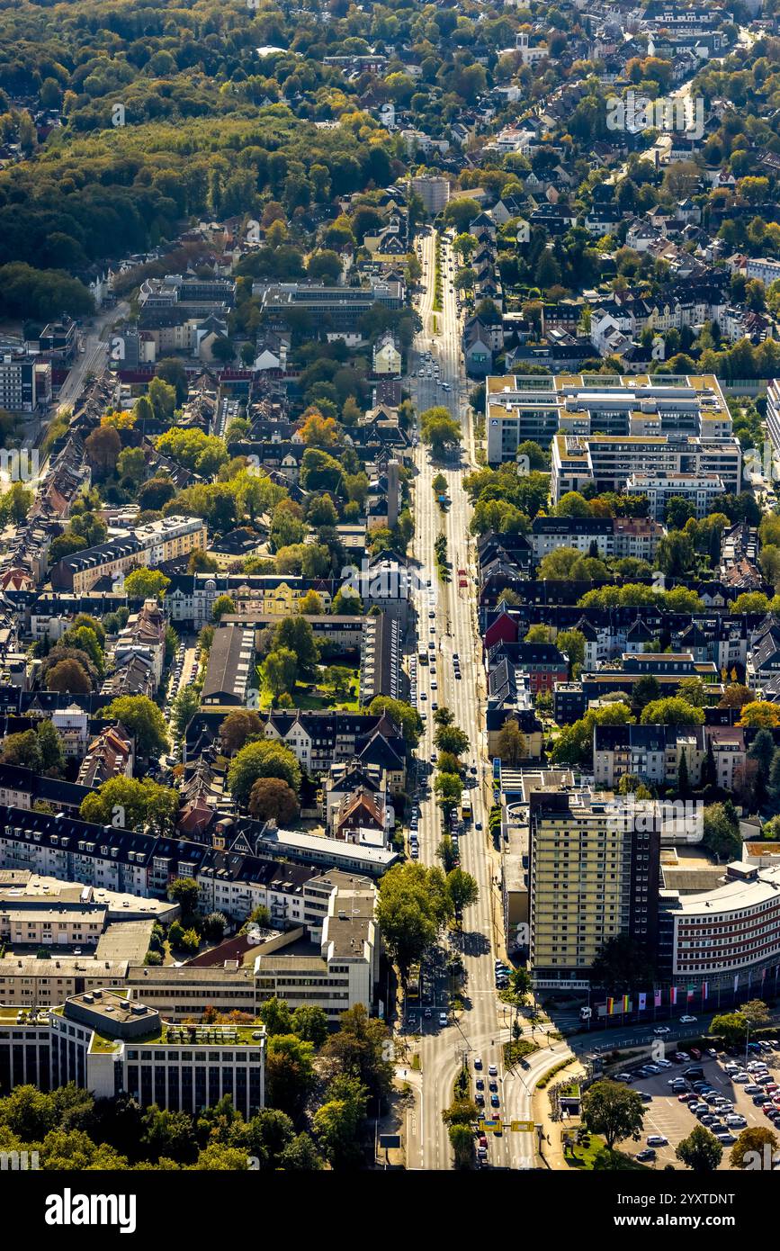 Vue aérienne, Alfredstraße route fédérale B224 entre Grugaplatz et Holunderweg, arbres dans la réserve centrale, quartier résidentiel, Rüttenscheid, Esse Banque D'Images