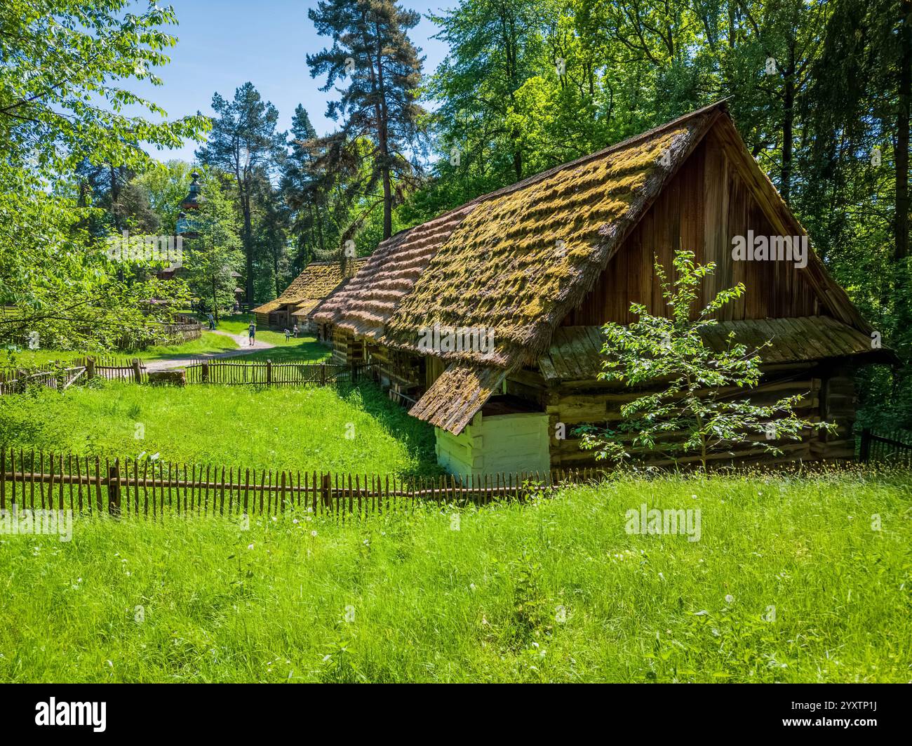 Sanok, Pologne - 4 mai 2024. Rangée de cabines traditionnelles en bois aux toits couverts de mousse verte et vibrante nichée dans une forêt baignée de soleil. Banque D'Images