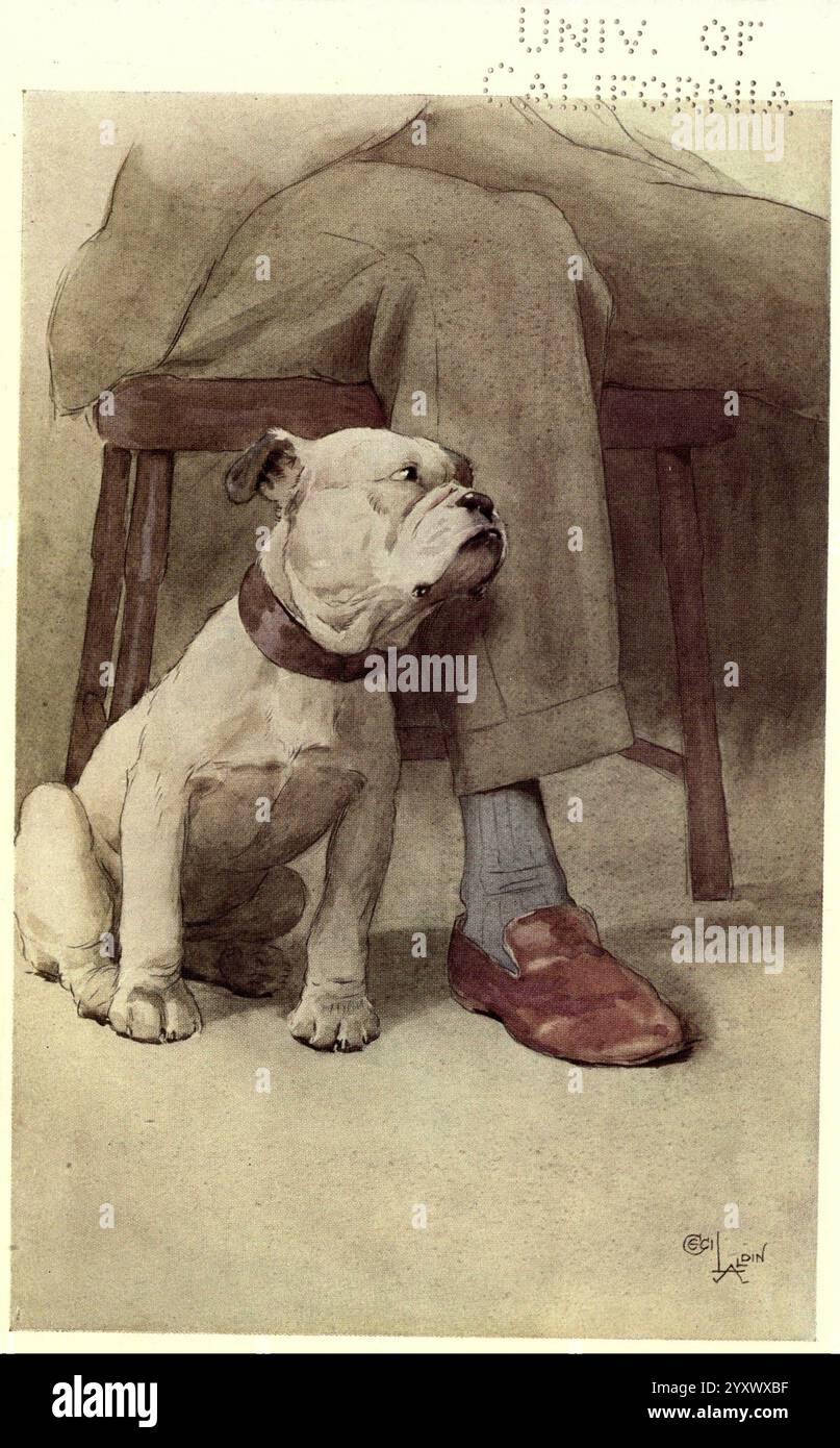 Notre ami The Dog New York Dodd Mead 1913 chiens Cecil Aldin Bulldog, Un individu assis repose sur une chaise, les jambes croisées, mettant en valeur une posture détendue. À côté d'eux, un bouledogue s'assoit attentivement, son pelage brillant et les yeux pointés vers le haut. Le chien a une construction large et affiche un air de loyauté et de curiosité. La tenue de la personne se compose d'un pantalon de couleur claire et d'une chaussure élégante, faisant allusion à une mode classique et intemporelle. Le contexte est simple, assurant que le lien entre la personne et le chien occupe le devant de la scène, évoquant un sentiment de compagnie et de tranquillité. Banque D'Images