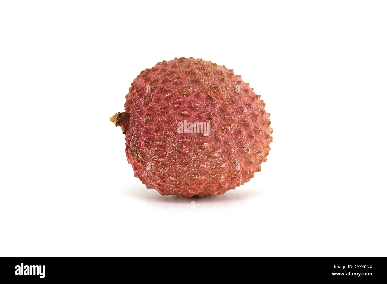 Découvrez le fruit juteux du litchi, connu pour sa douceur exotique et sa peau rouge éclatante, parfait pour les inspirations culinaires et déco. Banque D'Images Découvrez le fruit juteux du litchi, connu pour sa douceur exotique et sa peau rouge éclatante, parfait pour les inspirations culinaires et déco. Banque D'Images