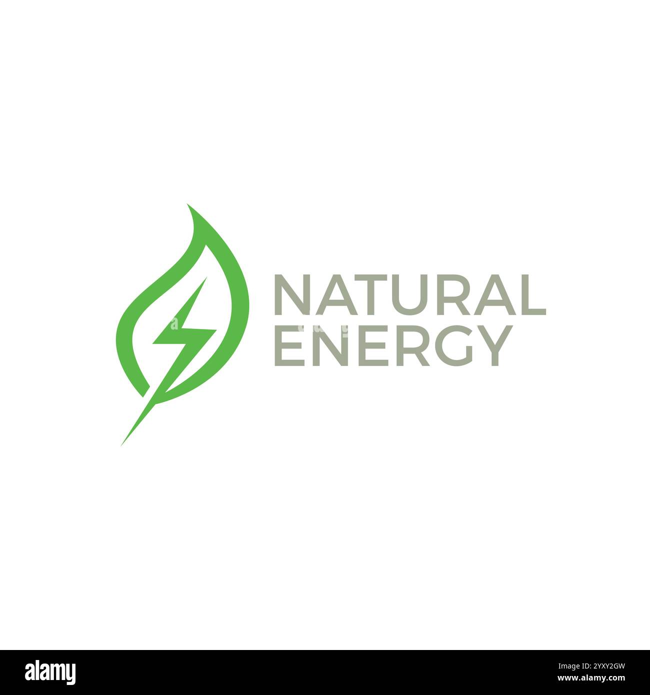 Conception du logo Natural Energy. Icône Thunder Leaf Illustration de Vecteur