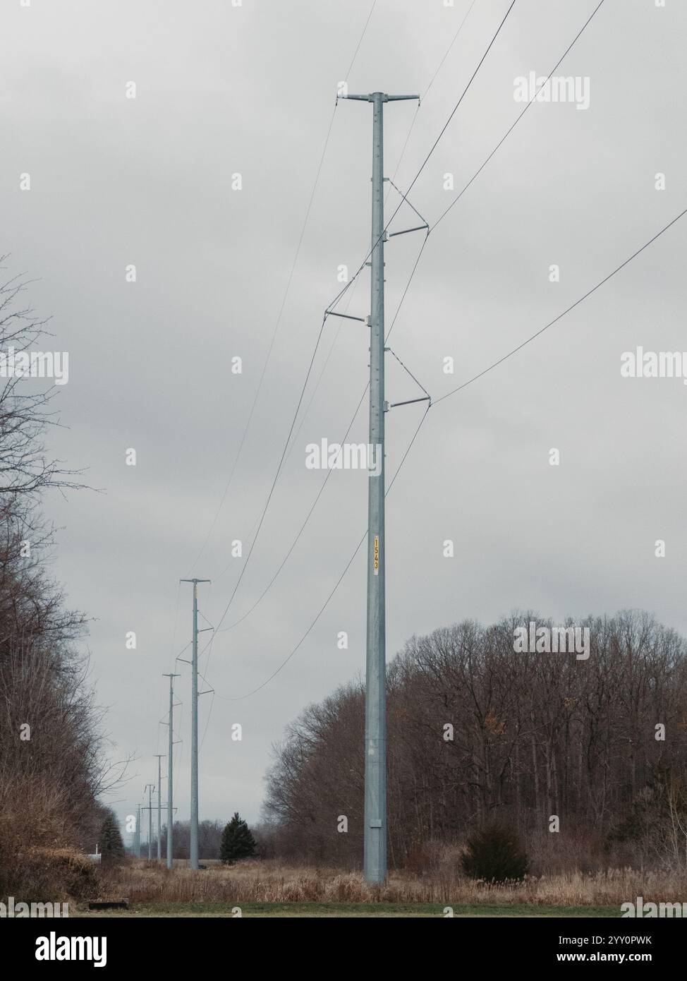 Lignes de transmission électrique et poteaux dans le Michigan USA Banque D'Images