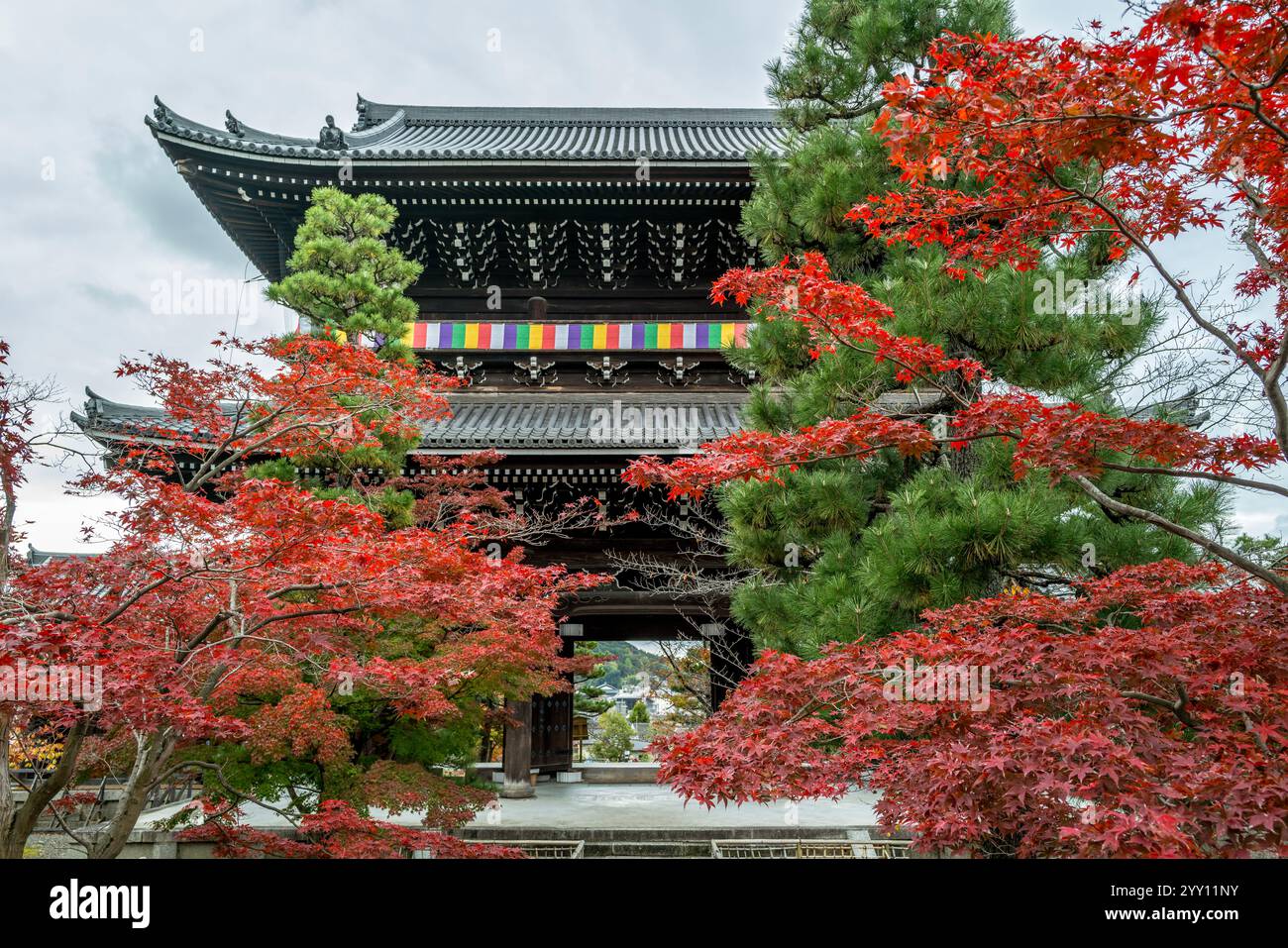 Le temple konkai komyo-ji pendant l'automne situé à Kyoto Japon Banque D'Images