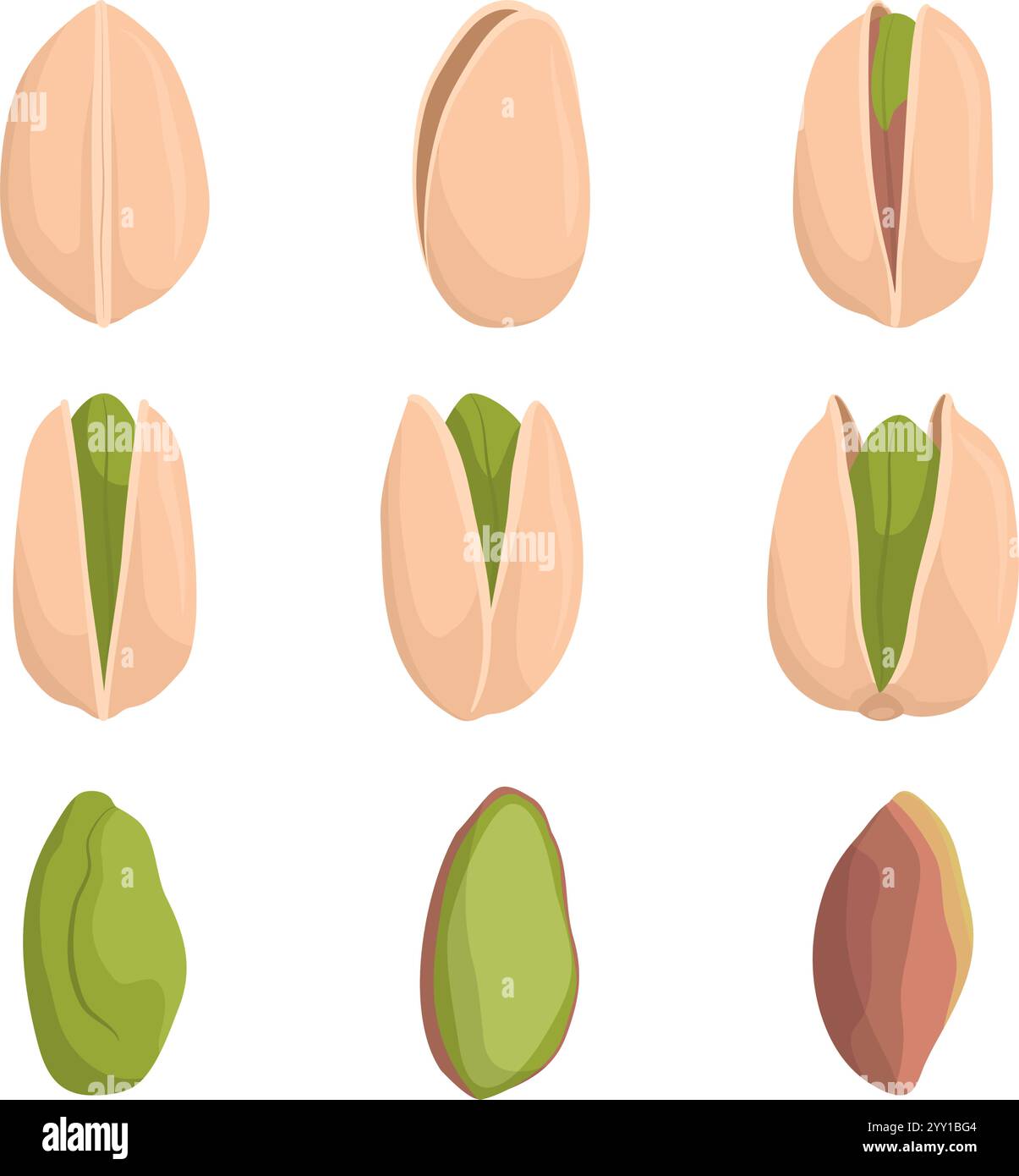 Collection de pistaches isolées sur fond blanc, concept de nourriture saine Illustration de Vecteur