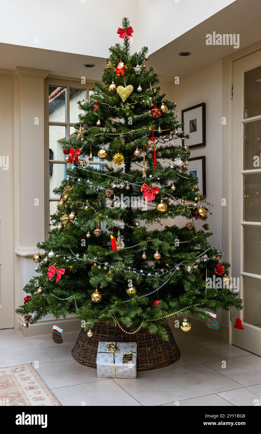Intérieur de la maison avec arbre de Noël décoré et présent sous l'arbre dans le conservatoire du salon, Royaume-Uni Banque D'Images