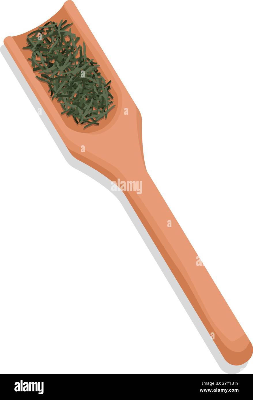 Feuilles de thé vert séchées sur une cuillère en bois, préparation de thé vert, isolé sur fond blanc Illustration de Vecteur