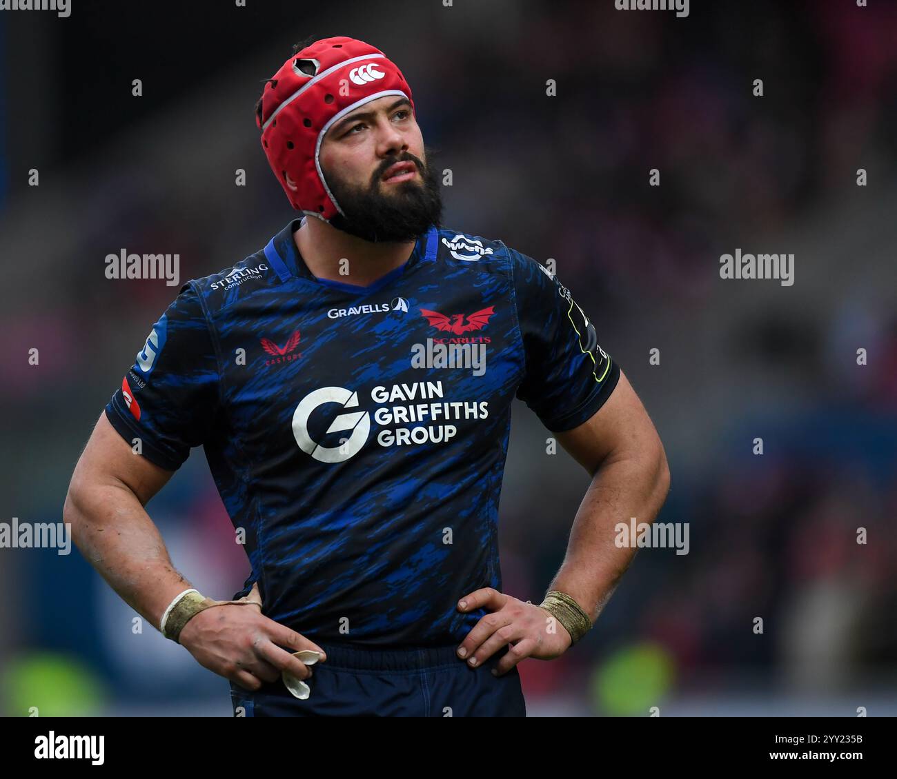 European Challenge Cup Scarlets v Black Lion Parc y Scarlets 15 décembre 2024 Banque D'Images