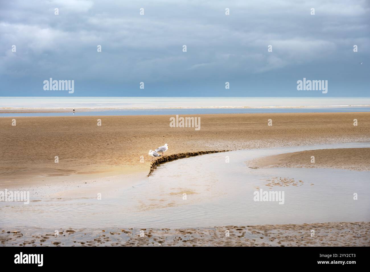 Cumber Sands un jour d'automne, vue sur la plage et la Manche, East Sussex, Angleterre Banque D'Images