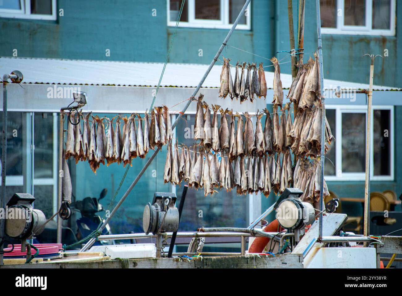 Poisson fermenté séché à l'air - Îles Féroé Banque D'Images