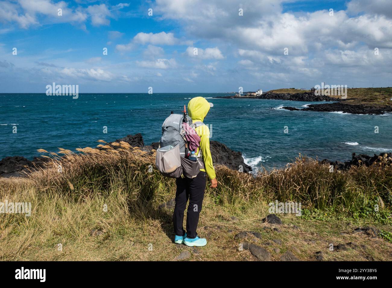 Le littoral venteux et volcanique le long du sentier Jeju Olle, île de Jeju, Corée du Sud Banque D'Images