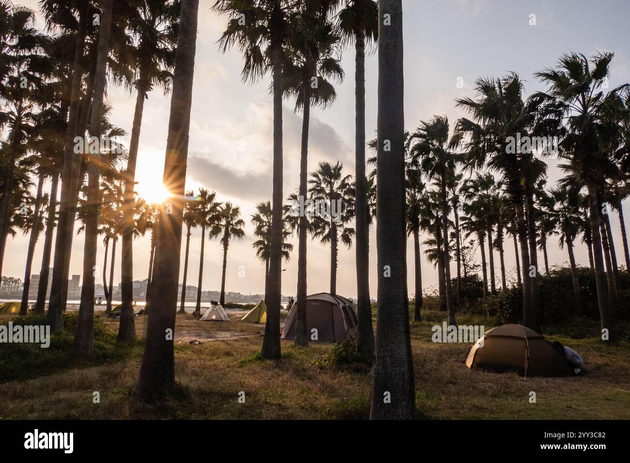 Beau camping sur la plage de Hyeopjae, Jeju Olle Trail, Hyeopjae, Jeju, Corée du Sud Banque D'Images