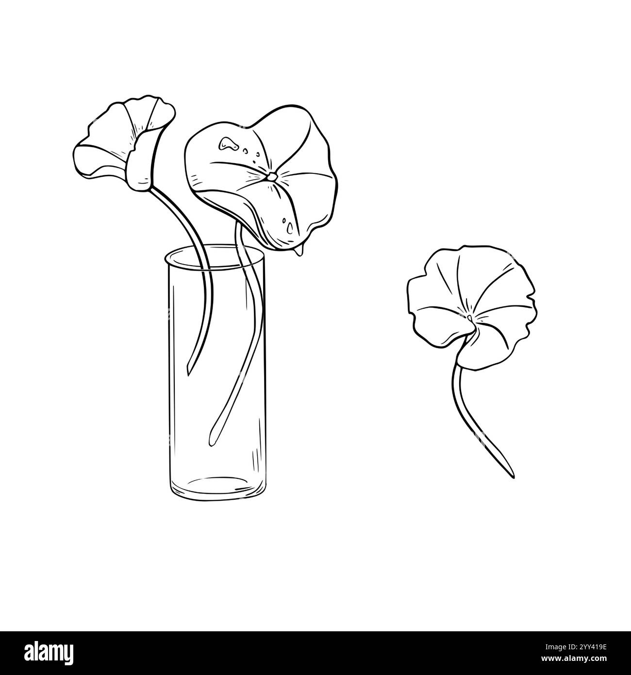 Pennywort asiatique dans une fiole en verre noir blanc illustration vectorielle sur blanc. Gotu kola plante de couverture de sol à base de plantes dessinée à la main dessin botanique linéaire Illustration de Vecteur