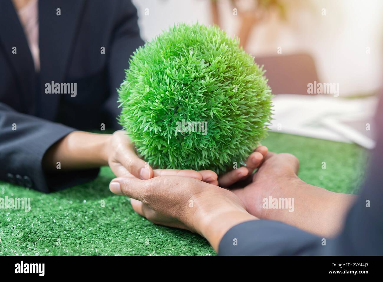 Coopération pour le développement des écosystèmes et des organisations. Les mains d'affaires tenant la maquette de plantes vertes ensemble sont le symbole de la société d'affaires verte. Banque D'Images