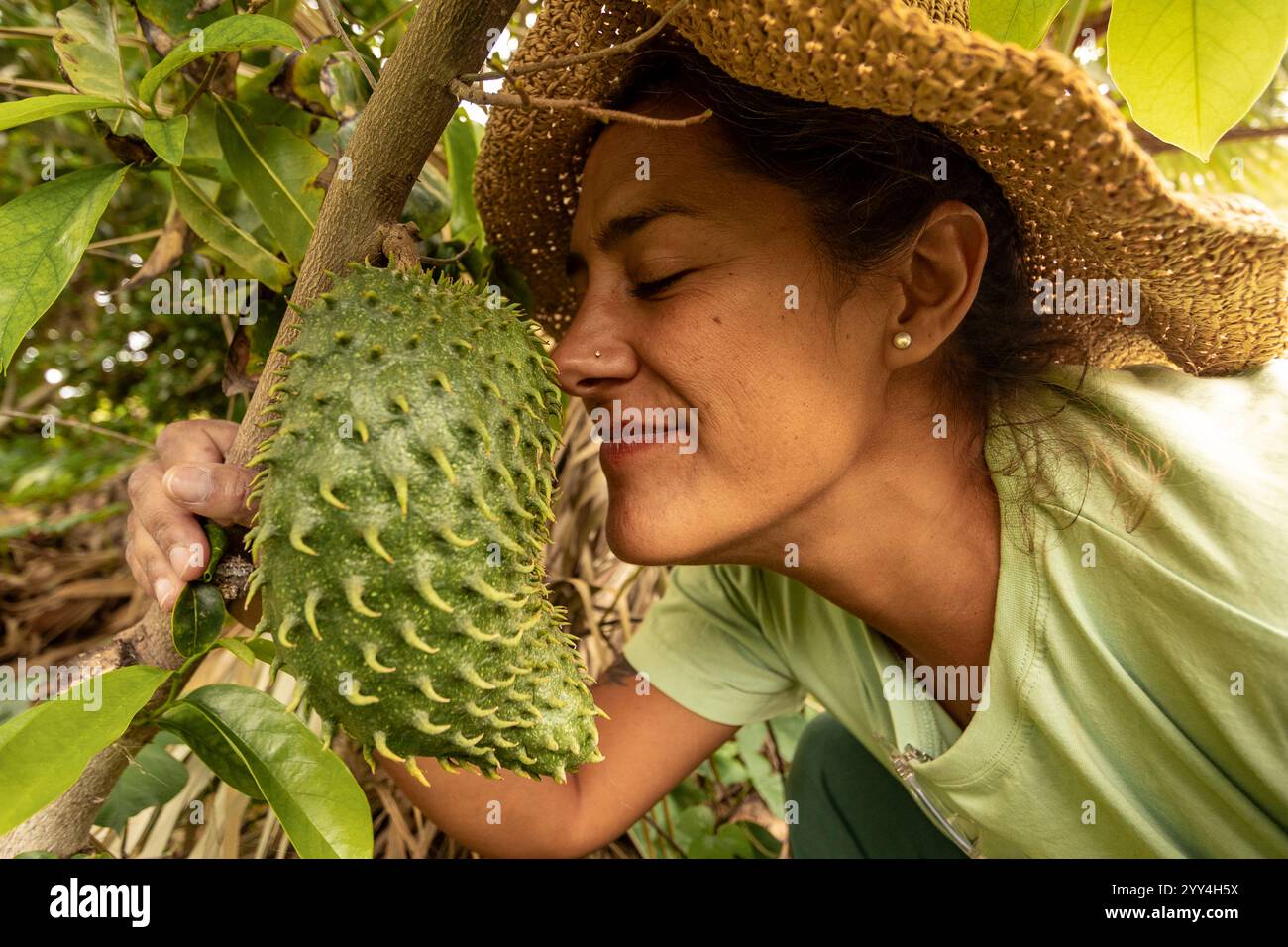 Gros plan d'une femme portant un chapeau de paille, souriante alors qu'elle sent un fruit de soursol mûr suspendu à un arbre, entourée d'un feuillage vert luxuriant dans une tropique Banque D'Images