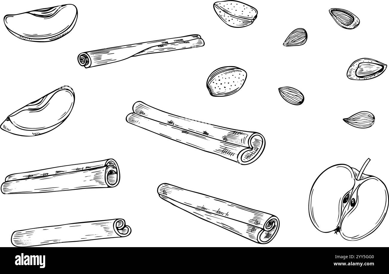 Tranches de fruits, noix et bâtonnets de cannelle ensemble ligne art dessin à l'encre noire. Pommes, amande et assaisonnement illustration monochrome peint à la main. Ingrédients Illustration de Vecteur