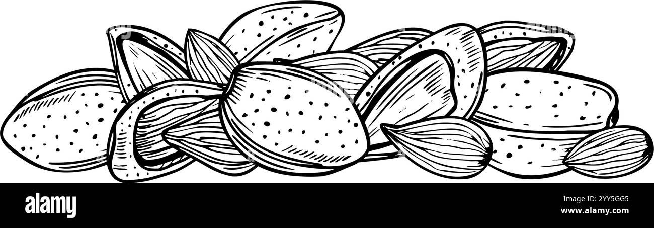 Croquis vectoriel dessiné à la main par pile d'amande pelée et non décortiquée en noir et blanc. Illustration monochrome des écrous. Ingrédient alimentaire sain biologique Illustration de Vecteur