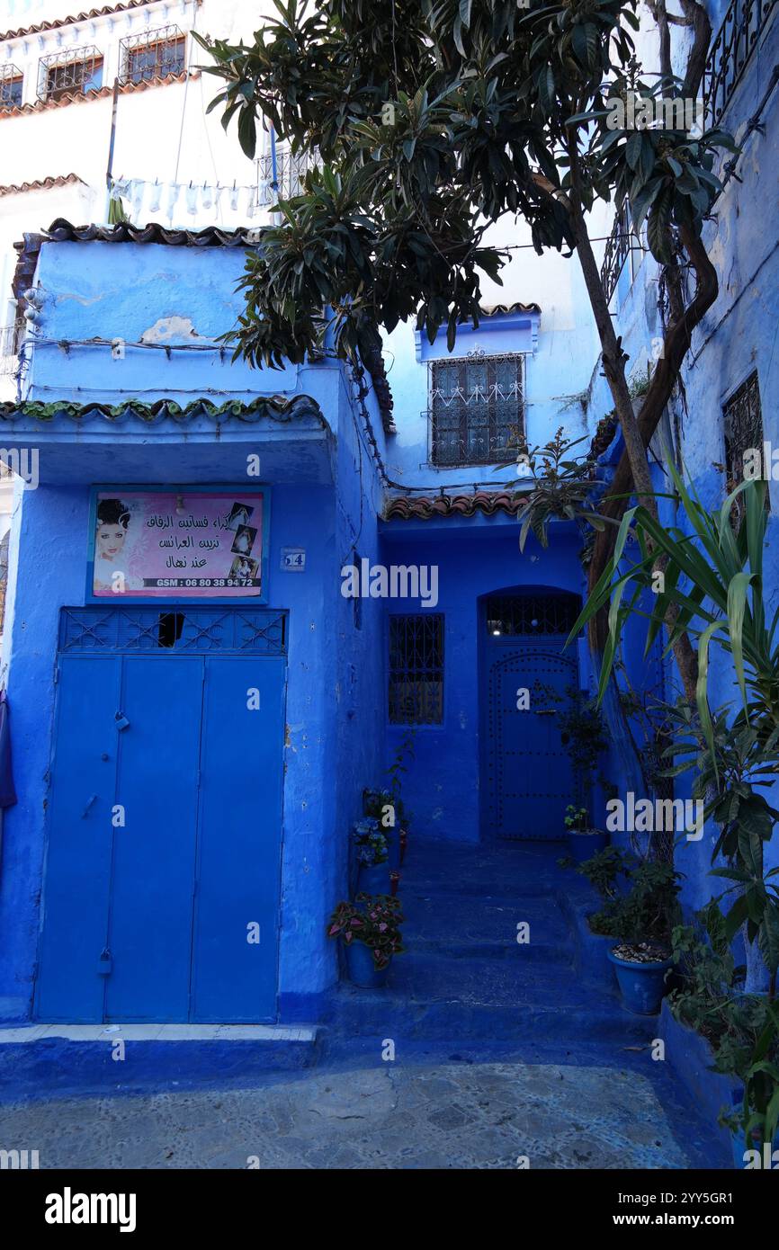 Chefchaouen une ville dans les montagnes du Rif du Maroc célèbre pour ses bâtiments bleus dans la vieille ville fortifiée, Afrique du Nord Banque D'Images