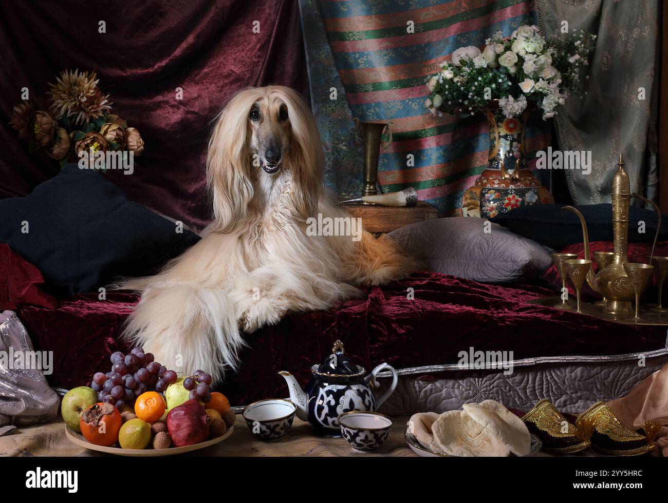 Gracieux chien de chien de chien afghan couché sur le tapis dans l'intérieur de style arabe avec Banque D'Images