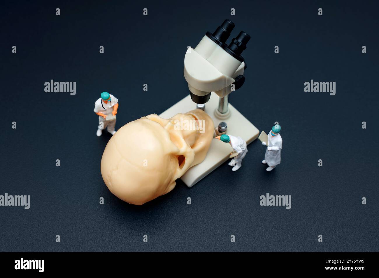 Figurines de scientifiques miniatures analysant un modèle de crâne à l'aide d'un microscope dans un cadre de laboratoire. Concept de recherche historique. Banque D'Images