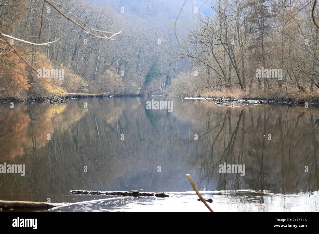 Rivière idyllique Enz près d'Untermberg près de Ludwigsburg Banque D'Images