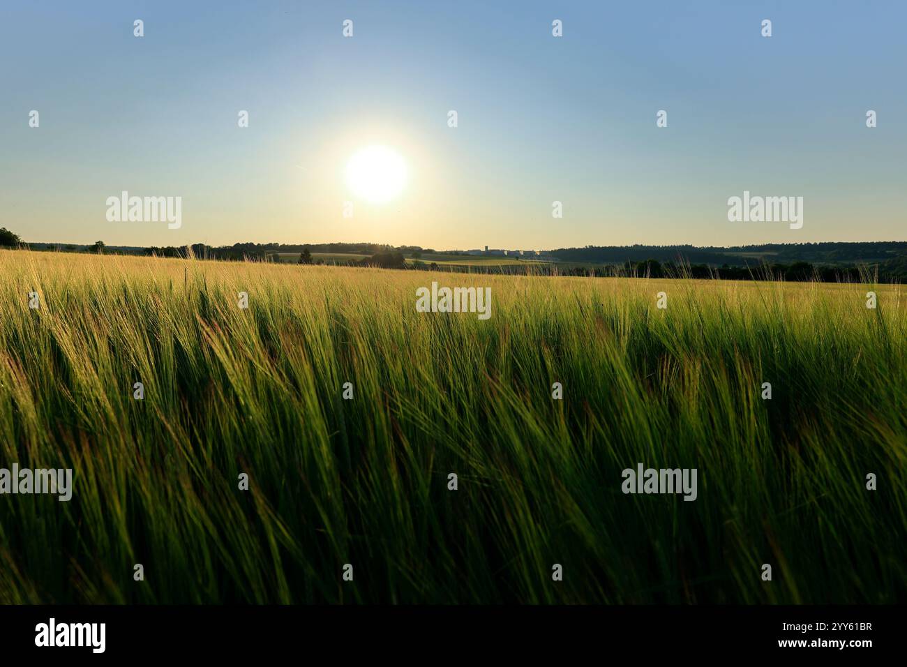 Coucher de soleil avec un contraste sévère de la lumière à l'obscurité Banque D'Images