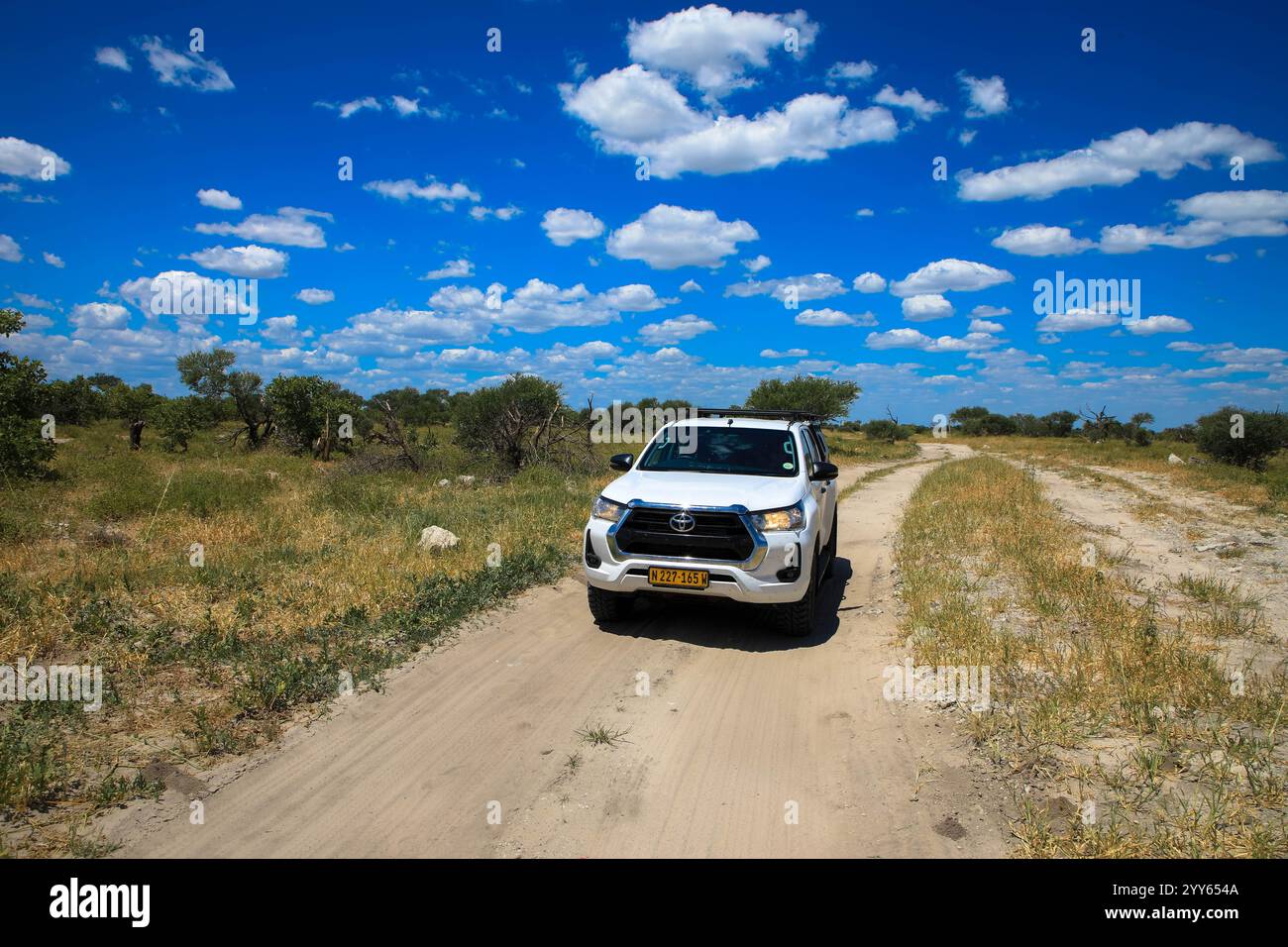 Conduite hors route d'une voiture de location sur une route de gravier, une piste 4x4 dans un paysage désertique sablonneux en Namibie. Toyota Hilux SUV 4x4 véhicule tout-terrain. 3 mars 20 Banque D'Images Conduite hors route d'une voiture de location sur une route de gravier, une piste 4x4 dans un paysage désertique sablonneux en Namibie. Toyota Hilux SUV 4x4 véhicule tout-terrain. 3 mars 20 Banque D'Images