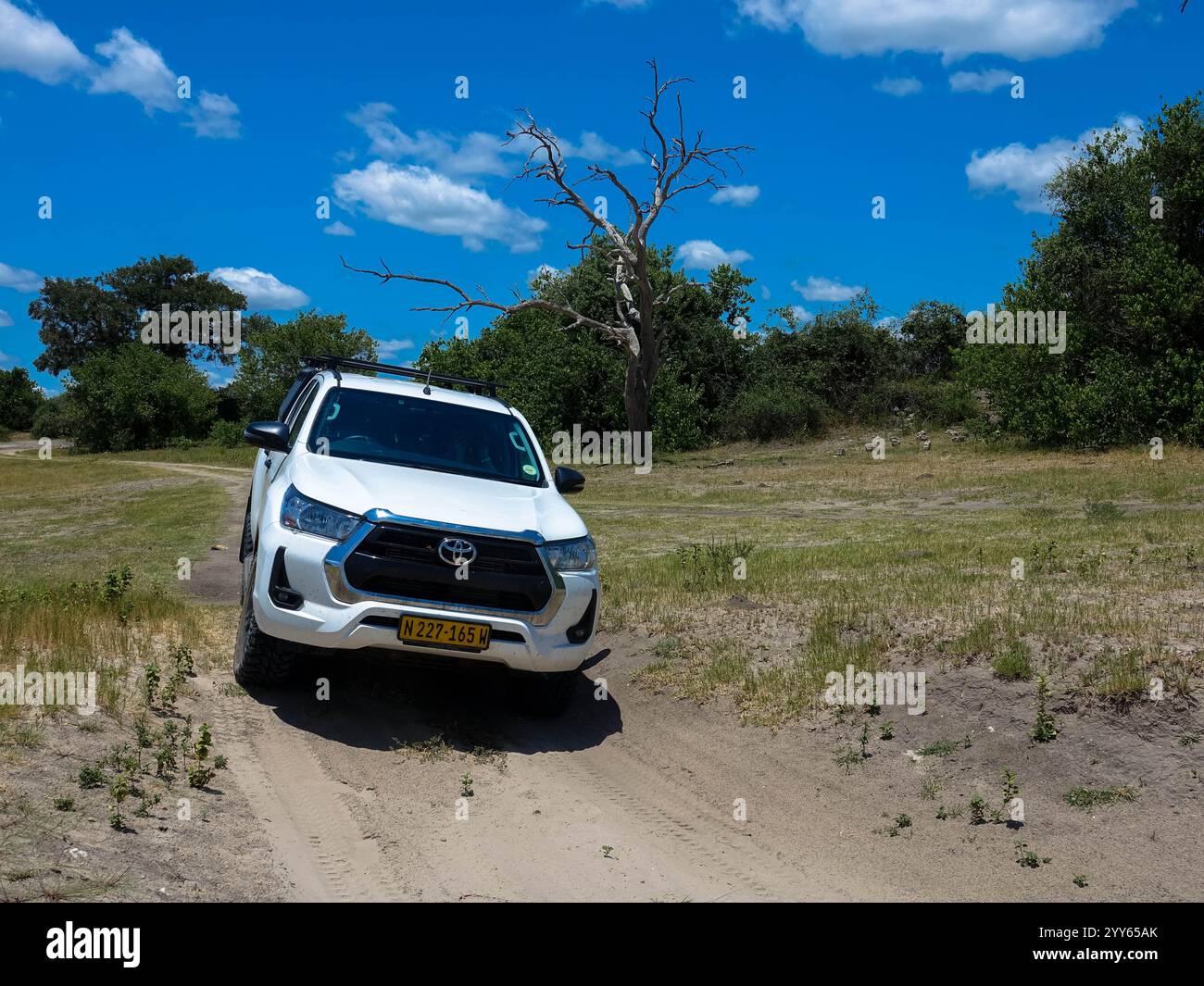 Conduite hors route d'une voiture de location sur une route de gravier, une piste 4x4 dans un paysage désertique sablonneux en Namibie. Toyota Hilux SUV 4x4 véhicule tout-terrain. 3 mars 20 Banque D'Images Conduite hors route d'une voiture de location sur une route de gravier, une piste 4x4 dans un paysage désertique sablonneux en Namibie. Toyota Hilux SUV 4x4 véhicule tout-terrain. 3 mars 20 Banque D'Images