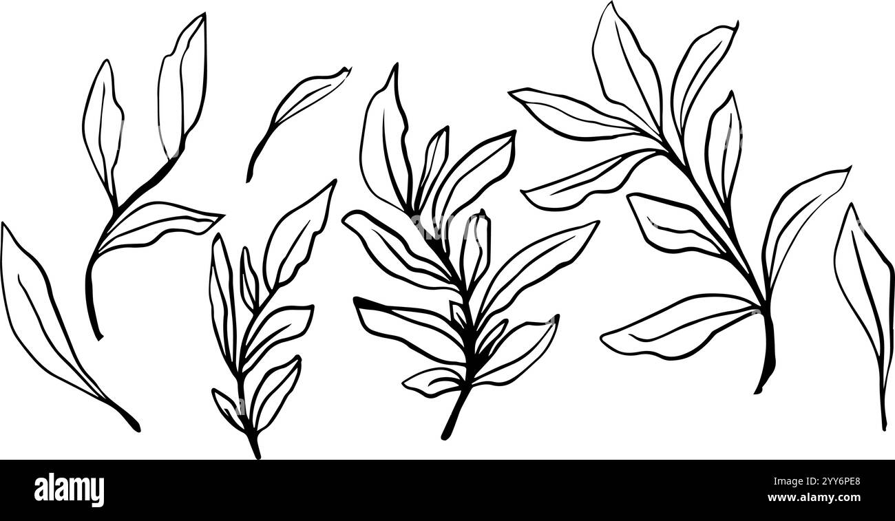 Collection élégante de contours de feuilles dessinés à la main vectoriels en noir et blanc, parfait pour les conceptions minimalistes, l'art botanique, l'artisanat de bricolage, les papiers peints, et Illustration de Vecteur