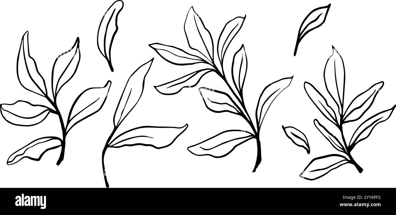 Collection élégante de contours de feuilles dessinés à la main vectoriels en noir et blanc, parfait pour les conceptions minimalistes, l'art botanique, l'artisanat de bricolage, les papiers peints, et Illustration de Vecteur