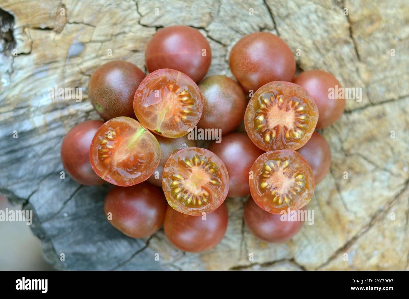 Variété de tomate Black Cherry, entière et demi sur fond d'une vieille souche. Concept de culture de tomates variétales. Banque D'Images