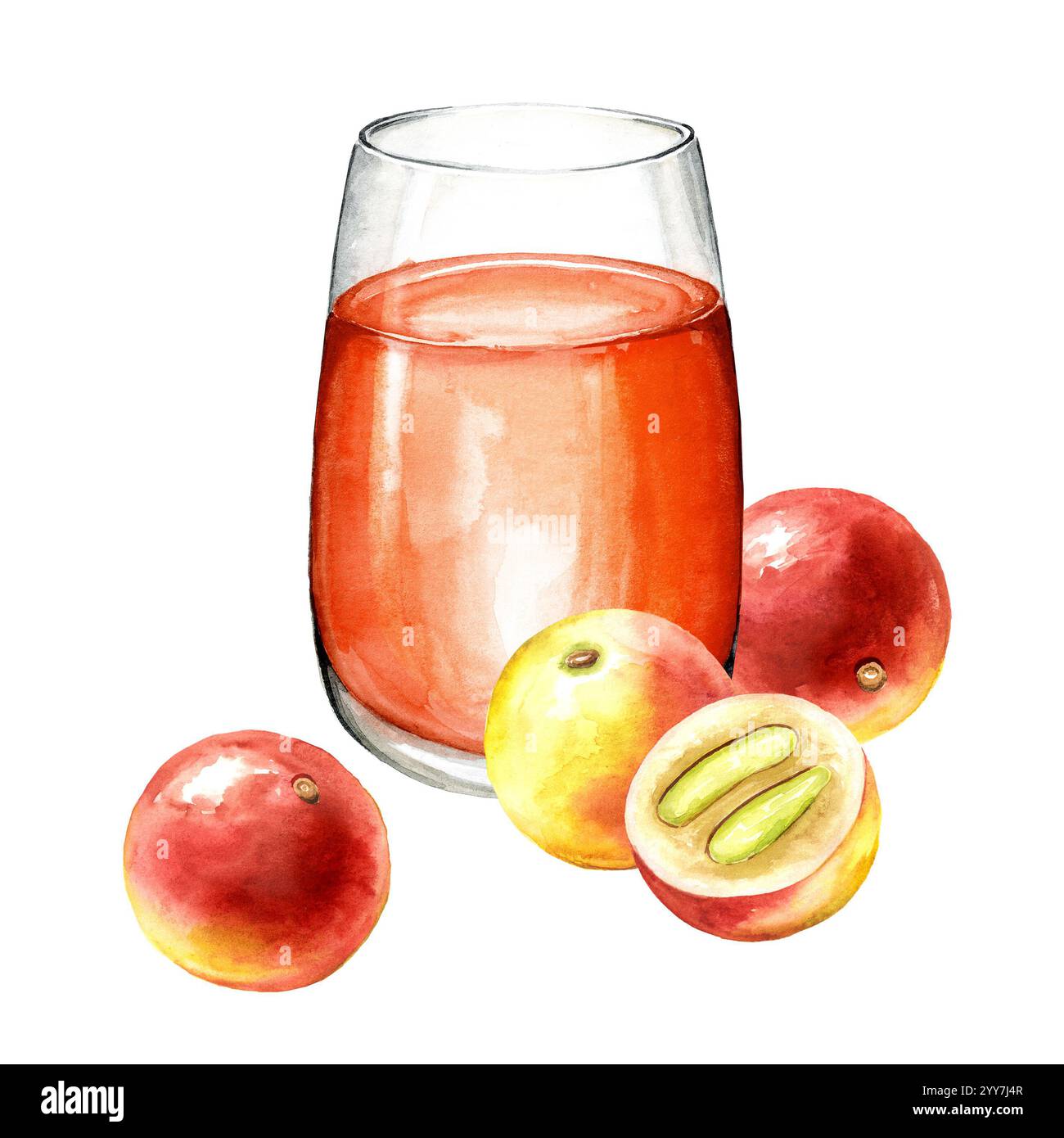 Verre avec jus de fruits Camu-Camu, baies de Myrciaria dubia. Super nourriture. Aquarelle illustration dessinée à la main, isolé sur fond blanc Banque D'Images