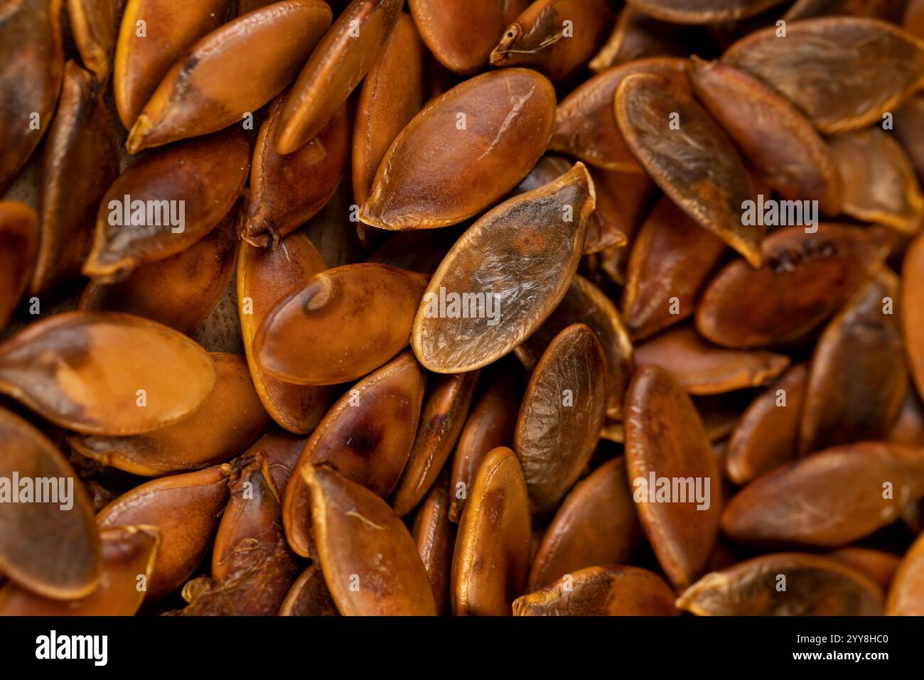 graines de citrouille frites en gros plan, graines de citrouille trop cuites sur la table Banque D'Images