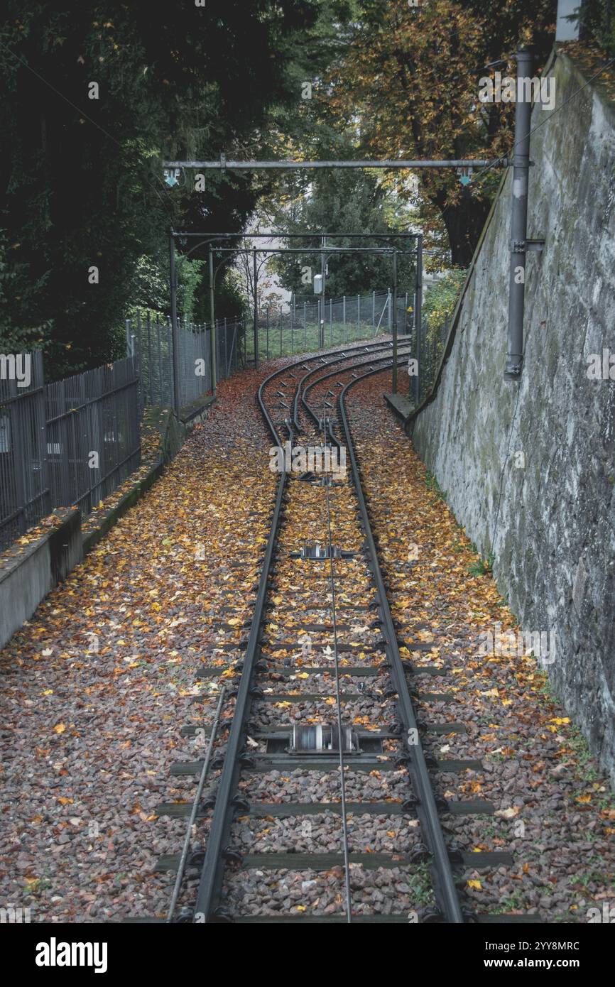 Un train descendant la colline de Zurich, capturant le mélange dynamique de la nature et de la vie urbaine Banque D'Images