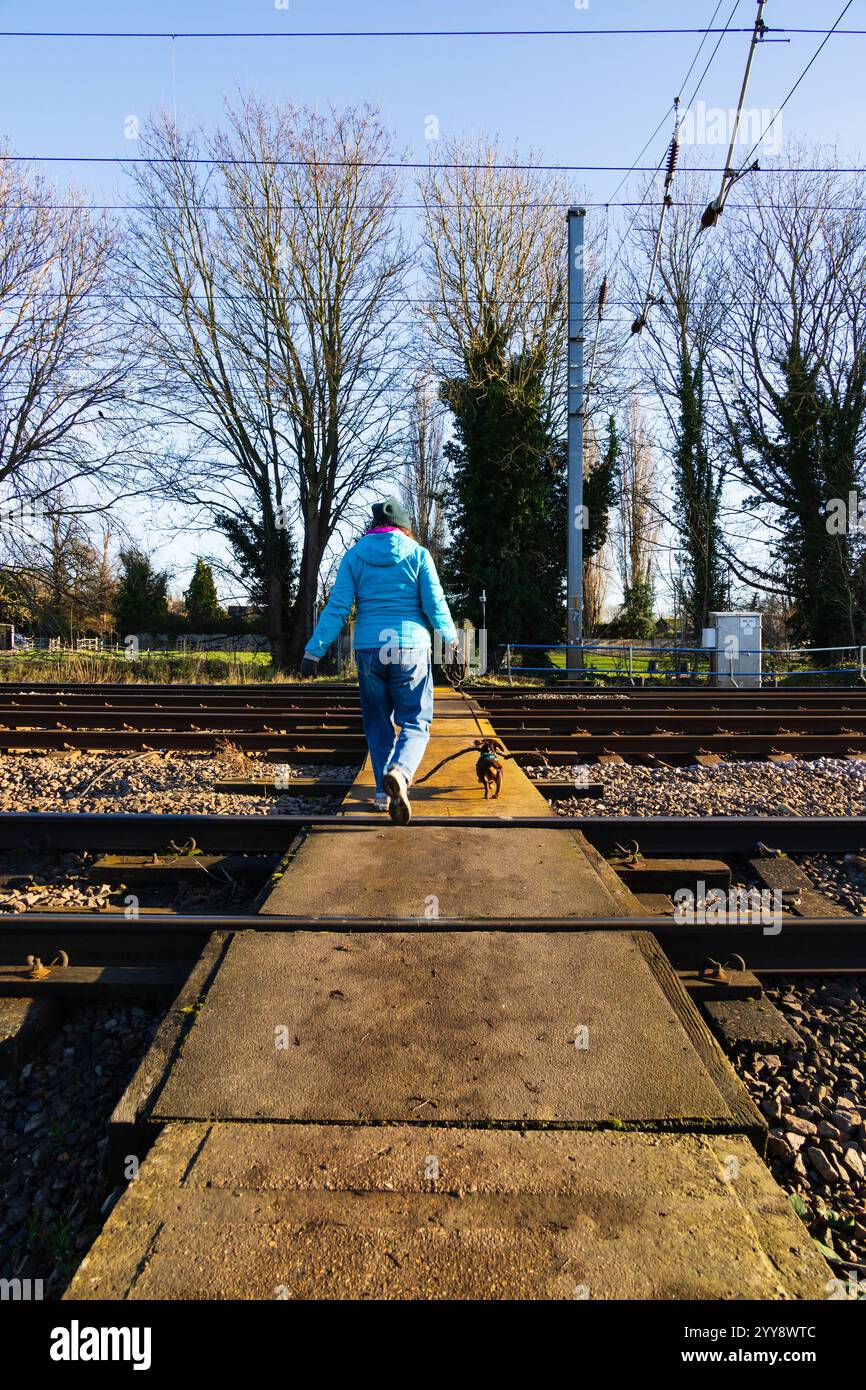 Une femme en bleu promène son petit chien teckel avec un grand bâton, à travers le passage piétonnier de la côte est à Offord Cluny, Cambridgeshire, Banque D'Images