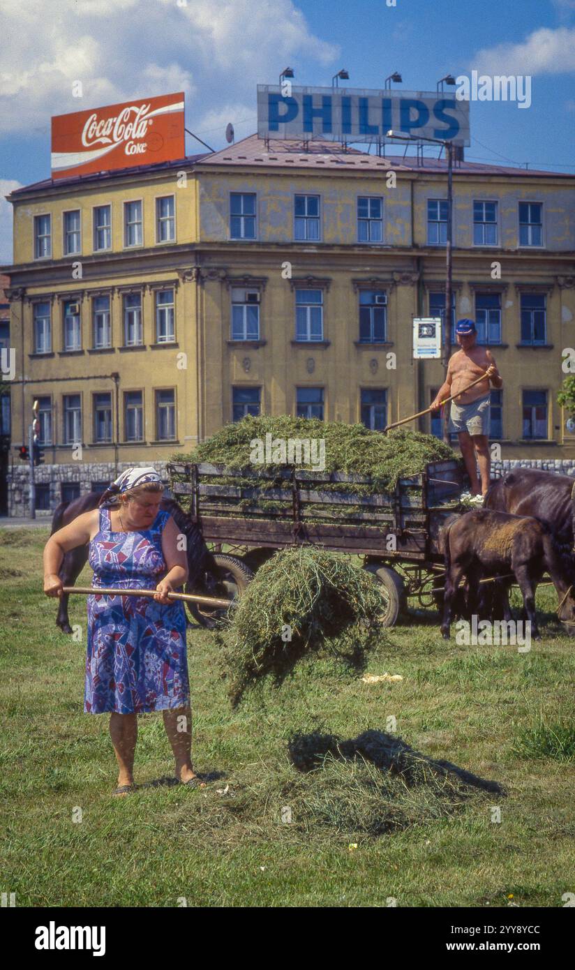 Hongrie, Debrecen, agriculteur et sa femme sont autorisés à enlever l'herbe municipale. Banque D'Images