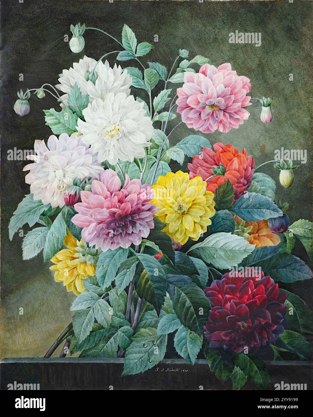 Pierre-Joseph redouté - Un bouquet de fleurs - 1834 Banque D'Images